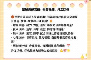 哪里有适合初学者的篮球心理训练课程?